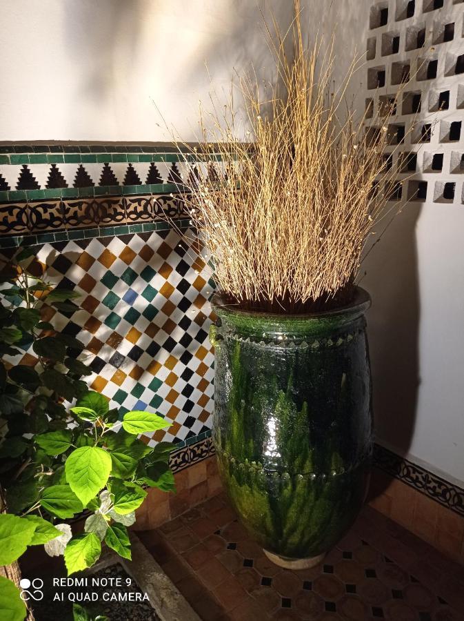 Riad Dar Badiaa ساليه المظهر الخارجي الصورة
